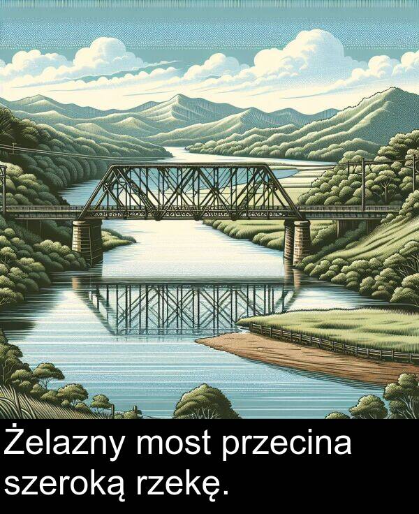 przecina: Żelazny most przecina szeroką rzekę.
