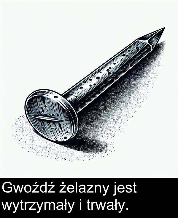 żelazny: Gwoźdź żelazny jest wytrzymały i trwały.
