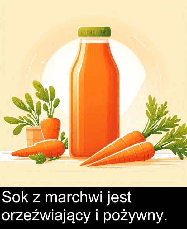 marchwi: Sok z marchwi jest orzeźwiający i pożywny.