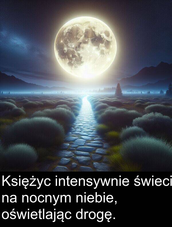 niebie: Księżyc intensywnie świeci na nocnym niebie, oświetlając drogę.