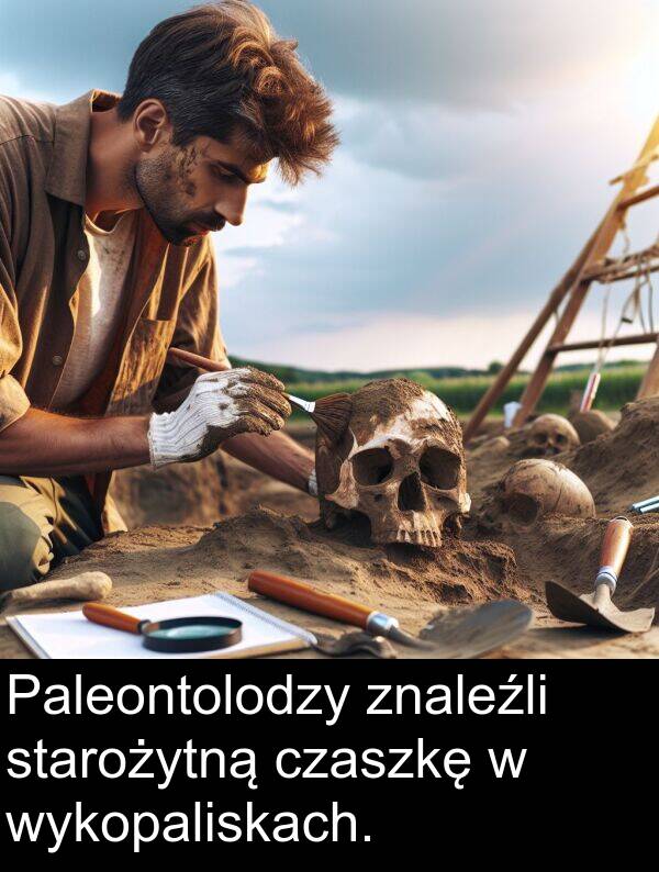 starożytną: Paleontolodzy znaleźli starożytną czaszkę w wykopaliskach.