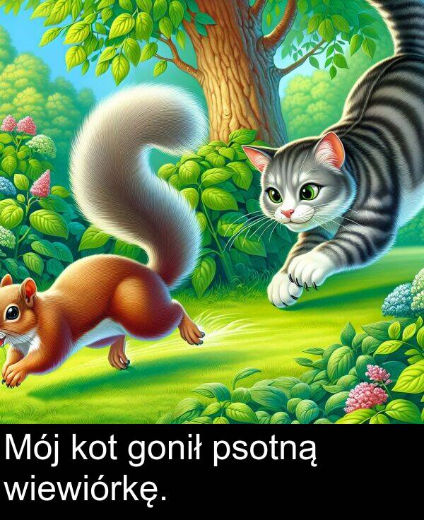psotną: Mój kot gonił psotną wiewiórkę.