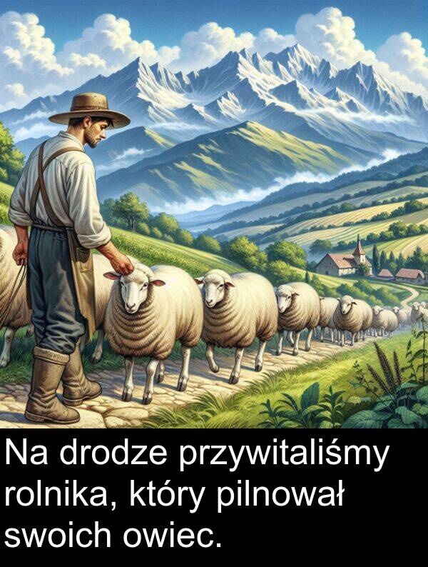 pilnował: Na drodze przywitaliśmy rolnika, który pilnował swoich owiec.