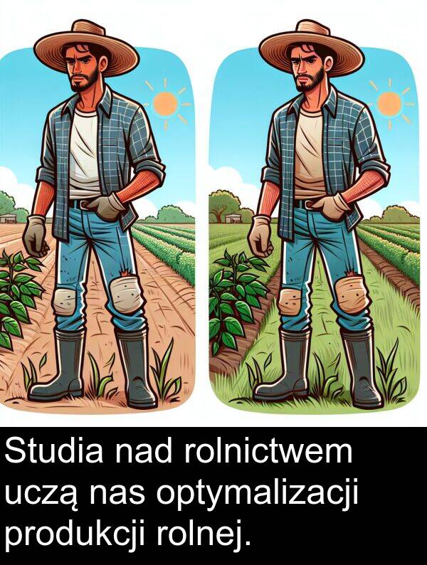 produkcji: Studia nad rolnictwem uczą nas optymalizacji produkcji rolnej.