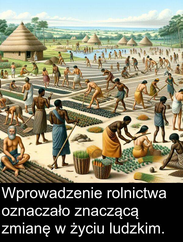 znaczącą: Wprowadzenie rolnictwa oznaczało znaczącą zmianę w życiu ludzkim.