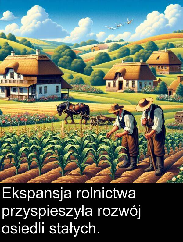 przyspieszyła: Ekspansja rolnictwa przyspieszyła rozwój osiedli stałych.