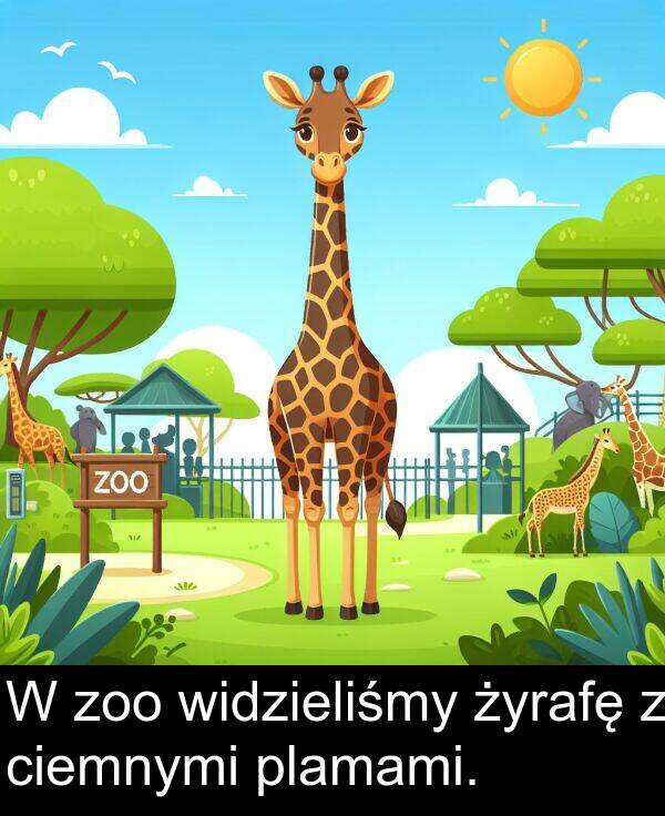zoo: W zoo widzieliśmy żyrafę z ciemnymi plamami.
