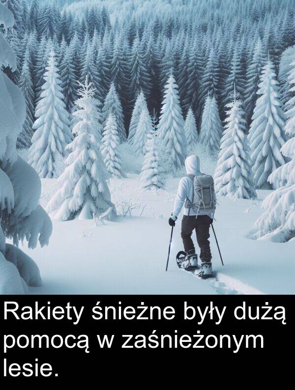 śnieżne: Rakiety śnieżne były dużą pomocą w zaśnieżonym lesie.