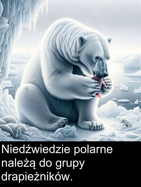 polarne: Niedźwiedzie polarne należą do grupy drapieżników.