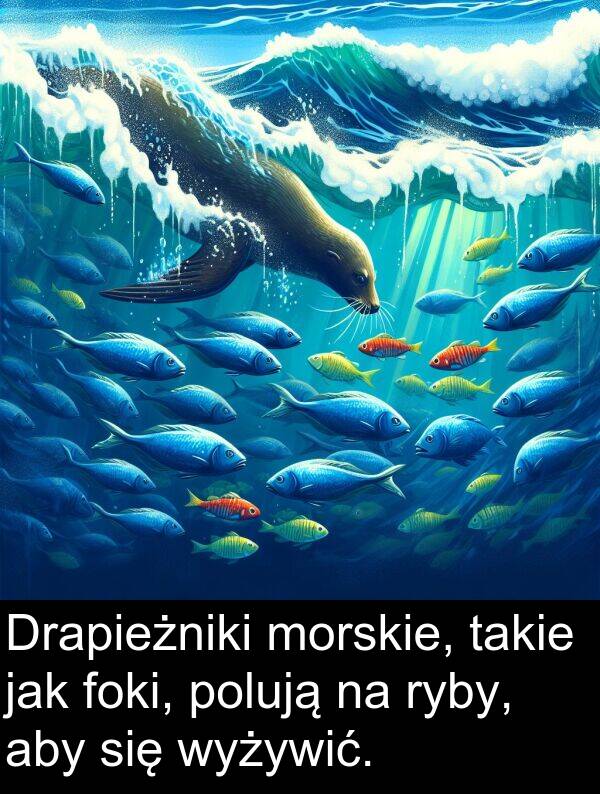 takie: Drapieżniki morskie, takie jak foki, polują na ryby, aby się wyżywić.