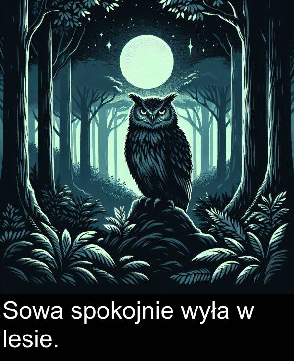 wyła: Sowa spokojnie wyła w lesie.
