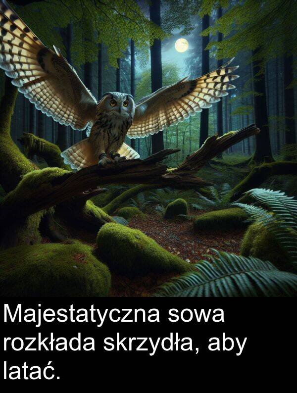 aby: Majestatyczna sowa rozkłada skrzydła, aby latać.