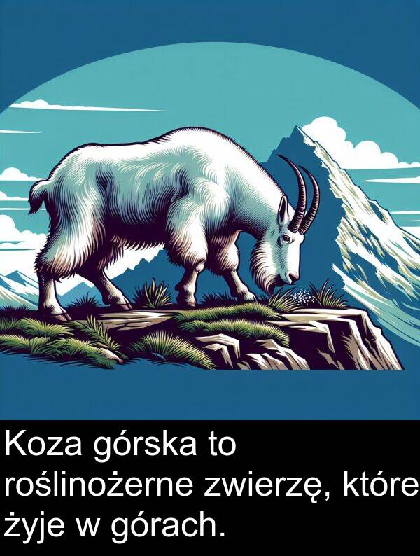 zwierzę: Koza górska to roślinożerne zwierzę, które żyje w górach.