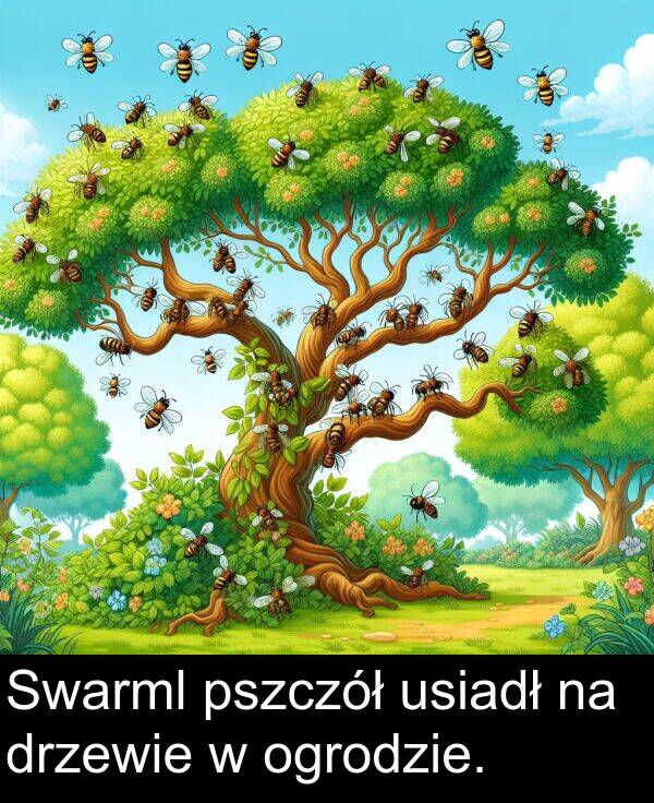pszczół: Swarml pszczół usiadł na drzewie w ogrodzie.