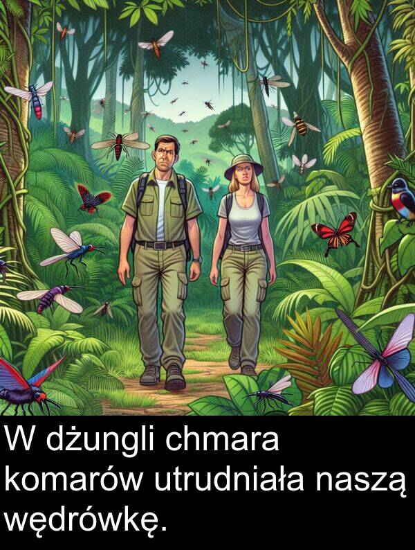 wędrówkę: W dżungli chmara komarów utrudniała naszą wędrówkę.