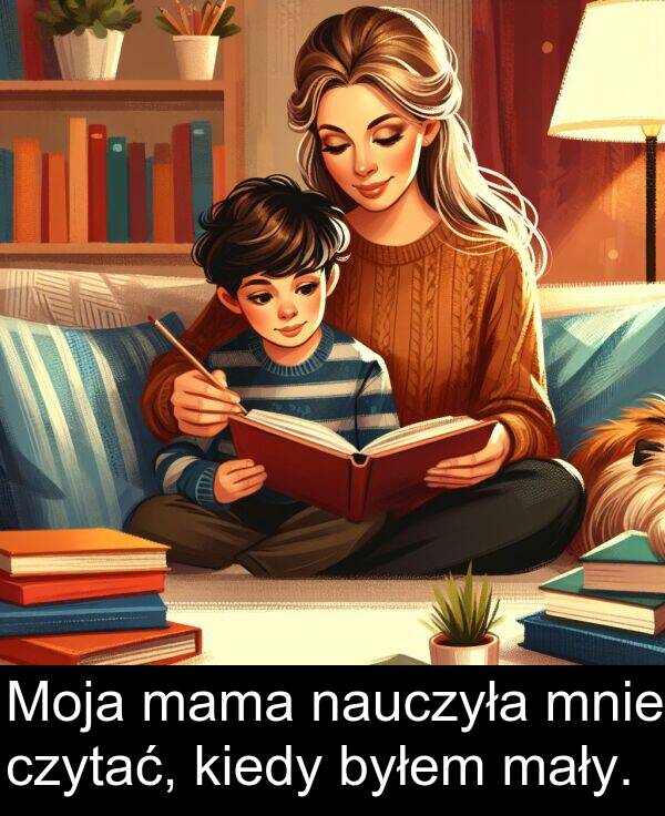 mama: Moja mama nauczyła mnie czytać, kiedy byłem mały.