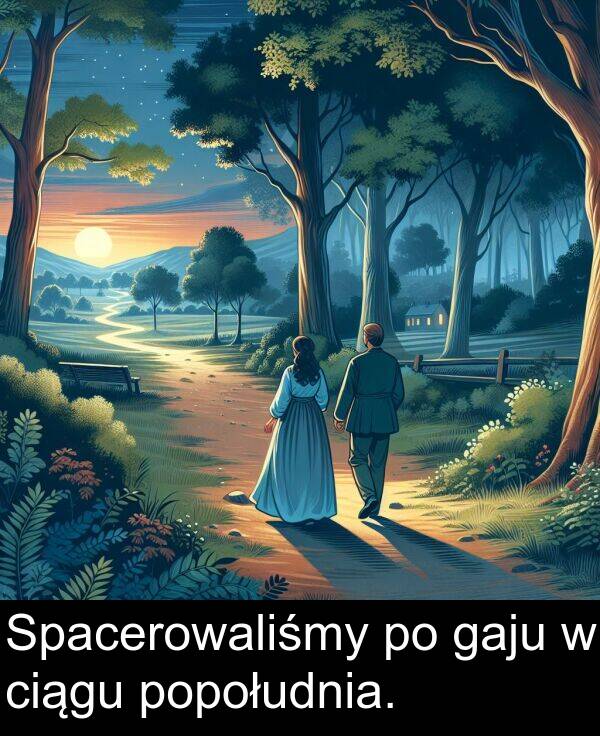 popołudnia: Spacerowaliśmy po gaju w ciągu popołudnia.