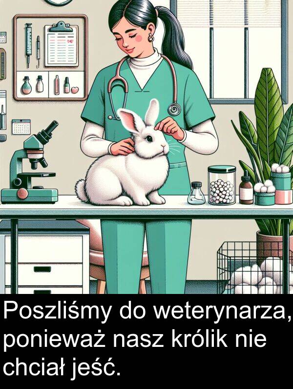 weterynarza: Poszliśmy do weterynarza, ponieważ nasz królik nie chciał jeść.