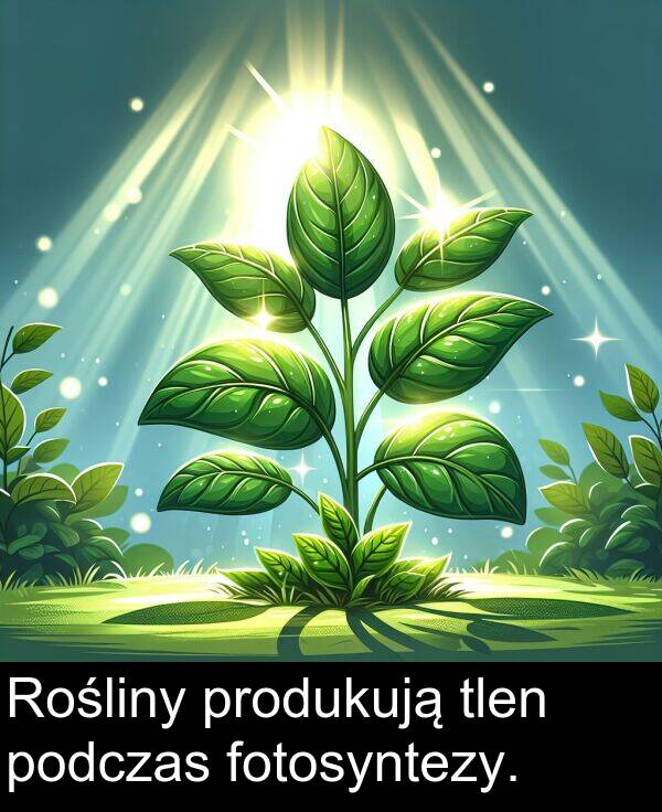 produkują: Rośliny produkują tlen podczas fotosyntezy.