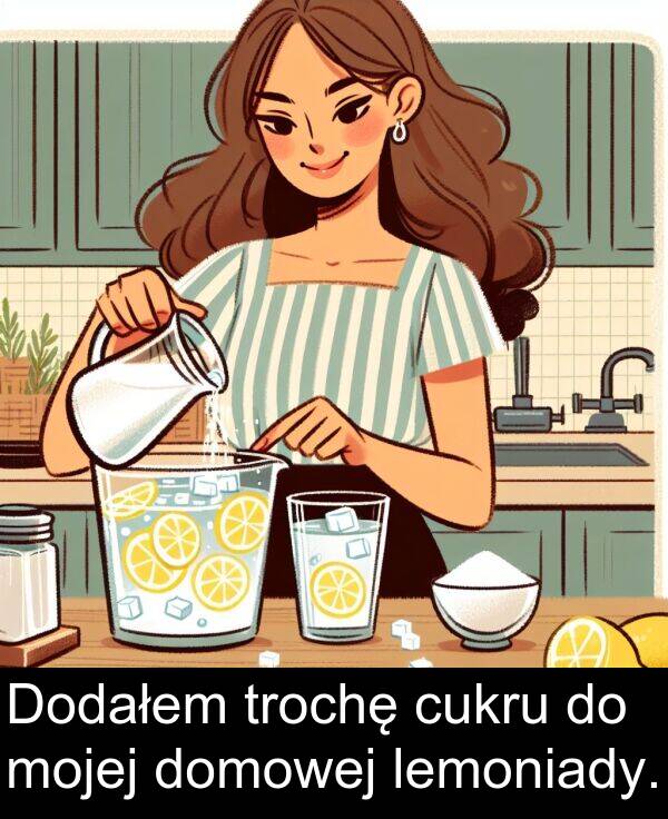 cukru: Dodałem trochę cukru do mojej domowej lemoniady.