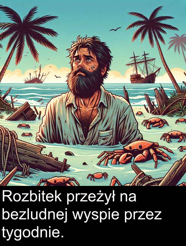 bezludnej: Rozbitek przeżył na bezludnej wyspie przez tygodnie.