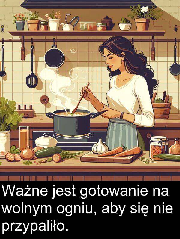 przypaliło: Ważne jest gotowanie na wolnym ogniu, aby się nie przypaliło.