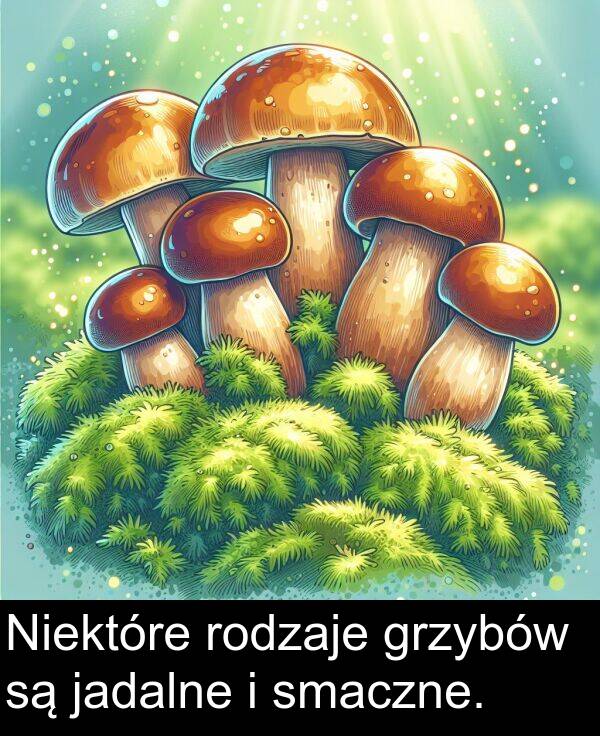 jadalne: Niektóre rodzaje grzybów są jadalne i smaczne.