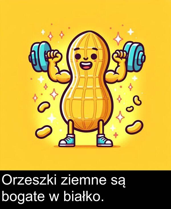 białko: Orzeszki ziemne są bogate w białko.