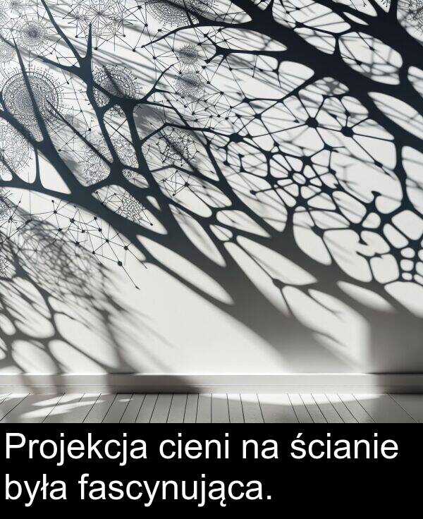 ścianie: Projekcja cieni na ścianie była fascynująca.