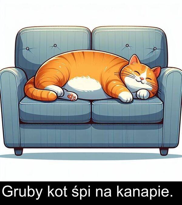 śpi: Gruby kot śpi na kanapie.