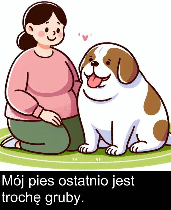 pies: Mój pies ostatnio jest trochę gruby.