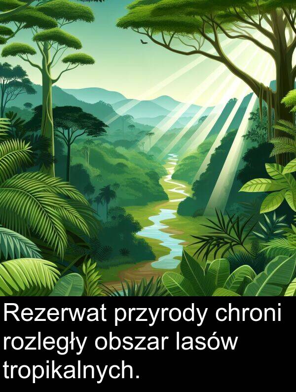 przyrody: Rezerwat przyrody chroni rozległy obszar lasów tropikalnych.