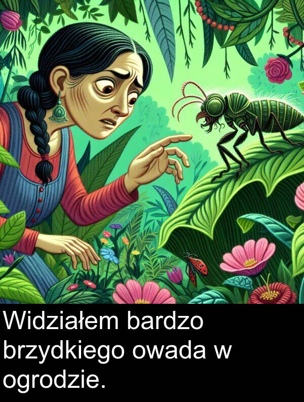 brzydkiego: Widziałem bardzo brzydkiego owada w ogrodzie.