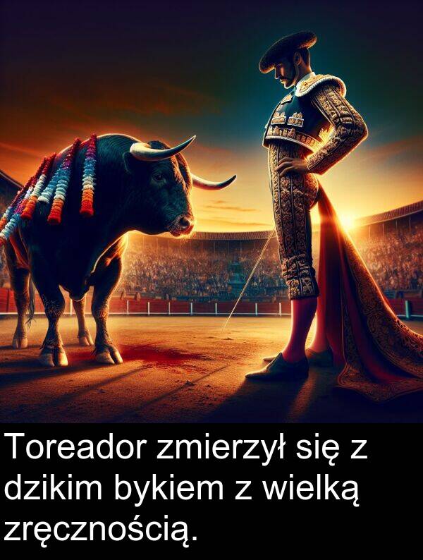 zmierzył: Toreador zmierzył się z dzikim bykiem z wielką zręcznością.
