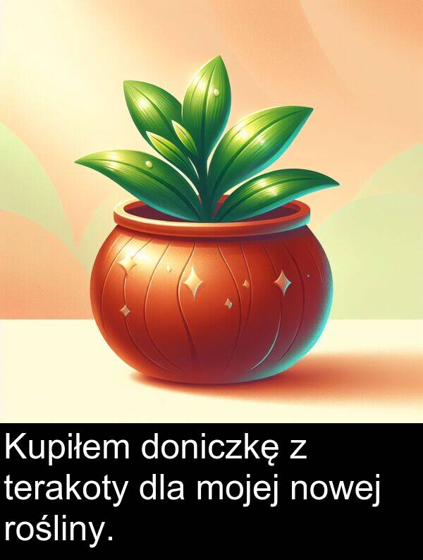 terakoty: Kupiłem doniczkę z terakoty dla mojej nowej rośliny.