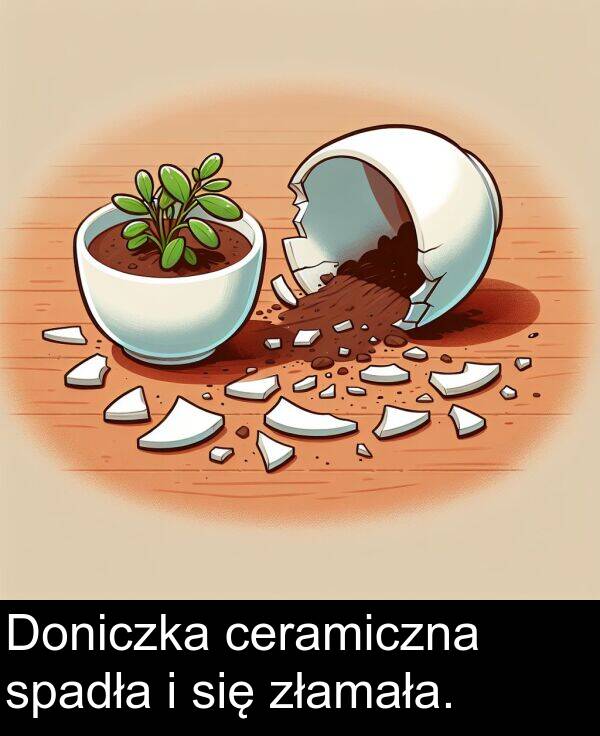 złamała: Doniczka ceramiczna spadła i się złamała.