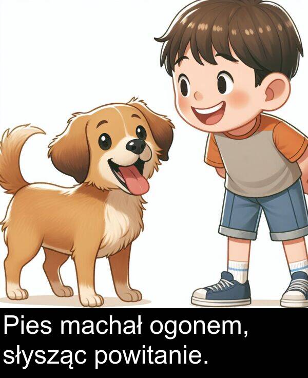 powitanie: Pies machał ogonem, słysząc powitanie.