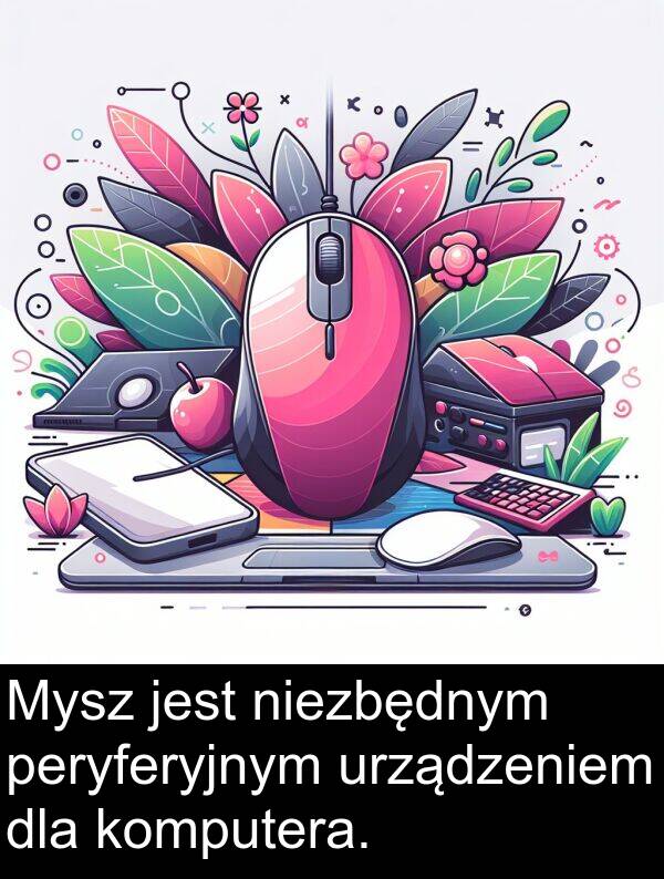komputera: Mysz jest niezbędnym peryferyjnym urządzeniem dla komputera.