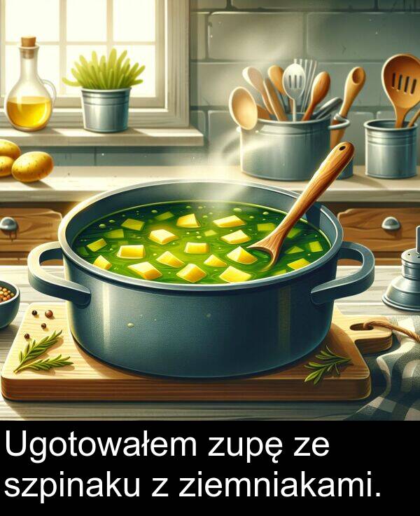 zupę: Ugotowałem zupę ze szpinaku z ziemniakami.