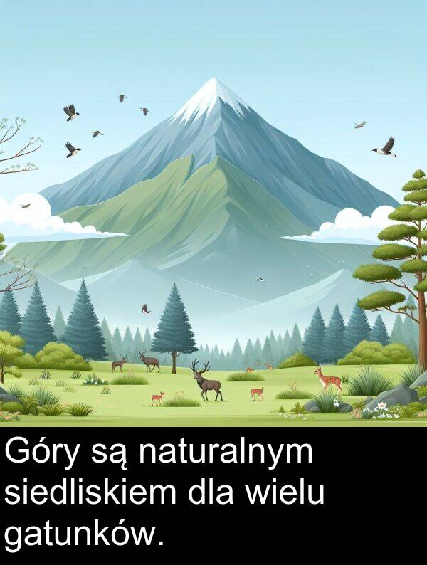 naturalnym: Góry są naturalnym siedliskiem dla wielu gatunków.