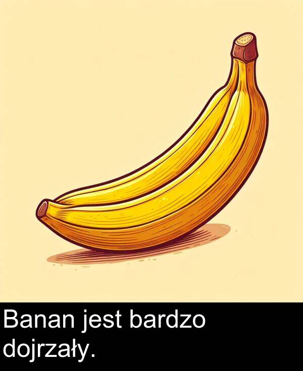 bardzo: Banan jest bardzo dojrzały.