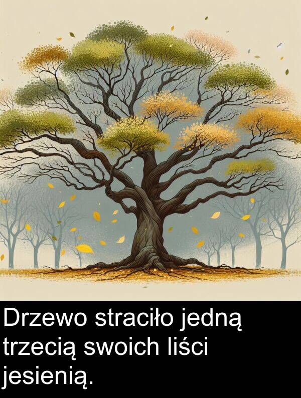jedną: Drzewo straciło jedną trzecią swoich liści jesienią.