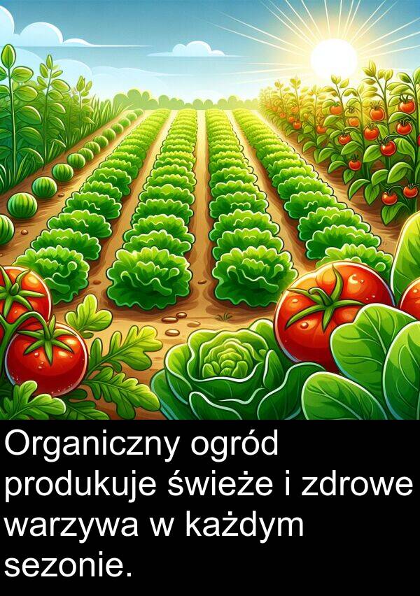 produkuje: Organiczny ogród produkuje świeże i zdrowe warzywa w każdym sezonie.