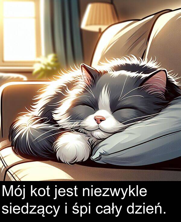 cały: Mój kot jest niezwykle siedzący i śpi cały dzień.