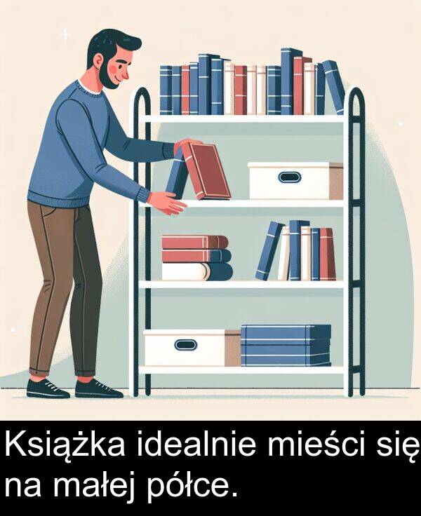 półce: Książka idealnie mieści się na małej półce.