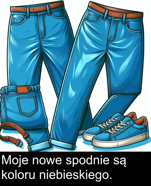 koloru: Moje nowe spodnie są koloru niebieskiego.