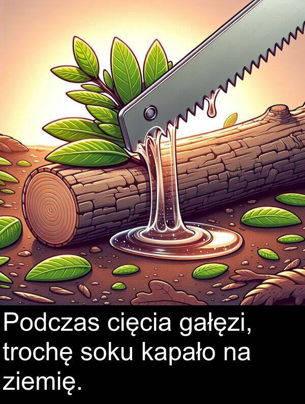 ziemię: Podczas cięcia gałęzi, trochę soku kapało na ziemię.
