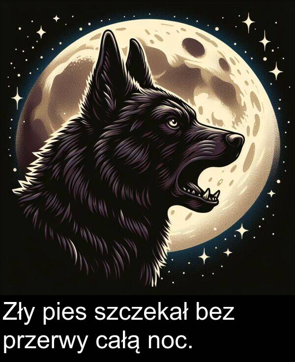 pies: Zły pies szczekał bez przerwy całą noc.