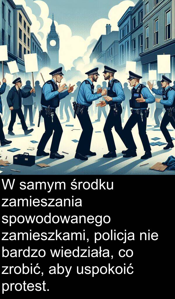 protest: W samym środku zamieszania spowodowanego zamieszkami, policja nie bardzo wiedziała, co zrobić, aby uspokoić protest.