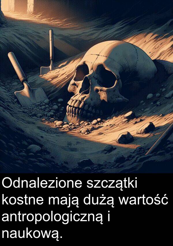 wartość: Odnalezione szczątki kostne mają dużą wartość antropologiczną i naukową.